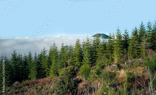 Foggy cloud covered Alpine Lakes Wilderness with green trees on a bright sunny morning in the autumn forest with blue skies and icy foreground in Washington State