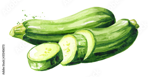 Green whole and cut zucchini vegetables. Hand drawn watercolor illustration, isolated on white background