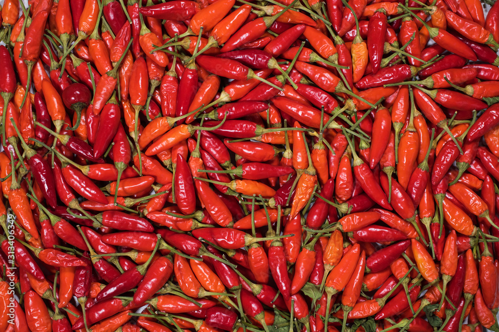 Red hot chili pepper as texture background. Country