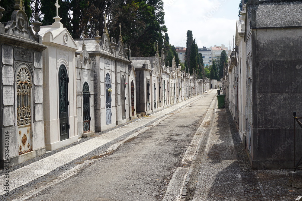 Fototapeta premium Path on Graveyard