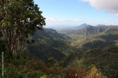 Spectacular view from a viewing point  overlooking the Black River Gorges National Park  Mauritius  towards the north