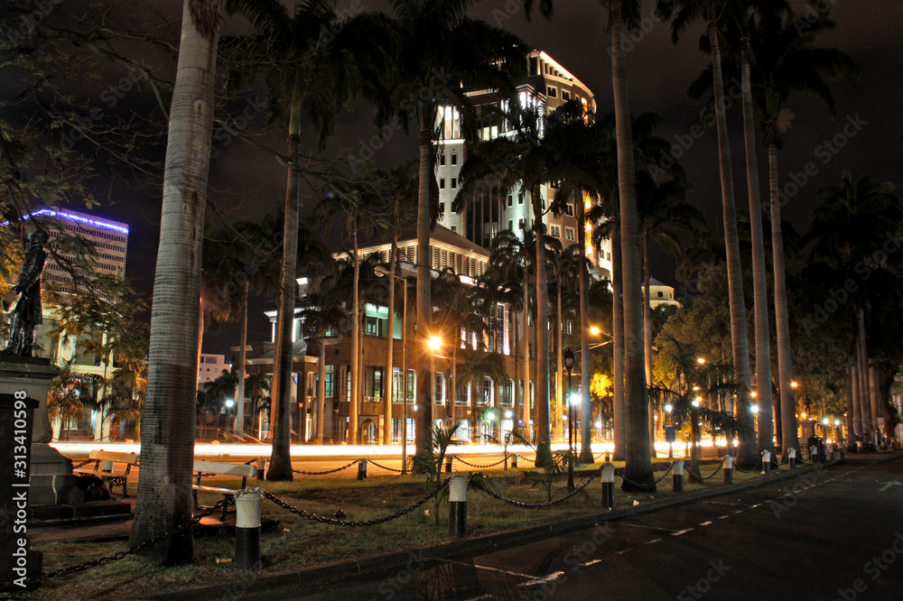 A small park lined with tall palm trees between the two one way lanes of the Intendance Street during night - Place d'Armes, Port Louis, Mauritius