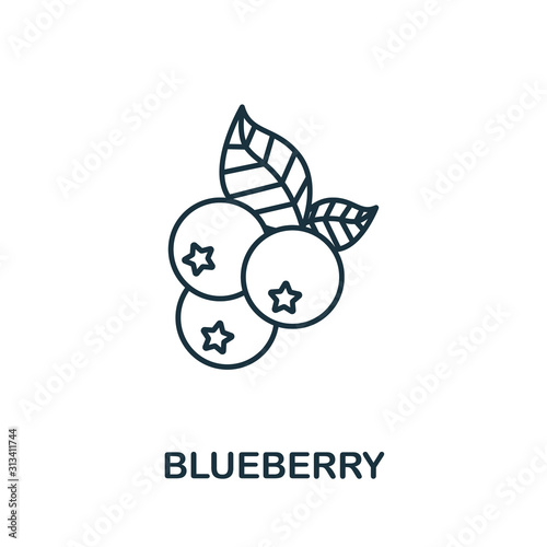 Leinwand Poster Blueberry icon from fruits collection