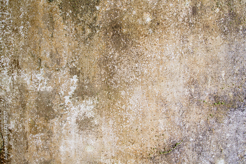 Old mouldy wall background or texture