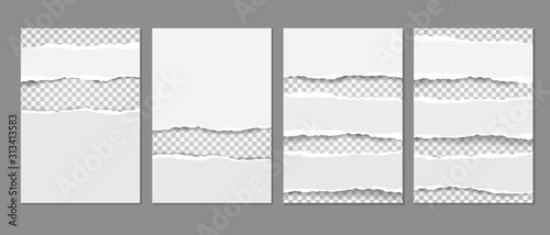 White, torn paper templates elements are on grey background. Vector infographics for presentation, flyer and leaflet, banner