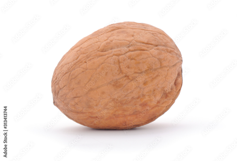 Walnut on a white. Walnut on a white.