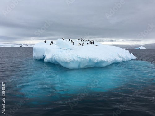Penguins gathered on top of a blue iceberg in Antarctica