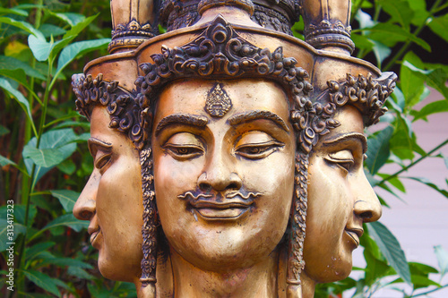 The faces of golden brahma