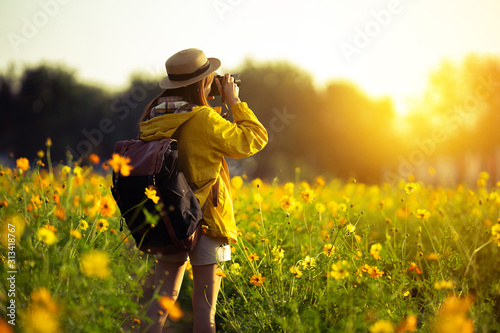 Female tourists she is taking pictures with the camera at the flower field © torwaiphoto