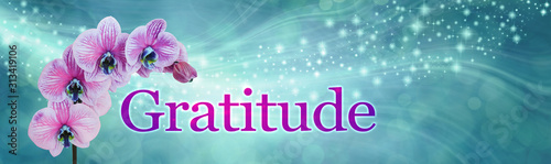 Photos Gratitude Orchid Sparkle Banner - wide jade green flowing sparkle bokeh backgrou