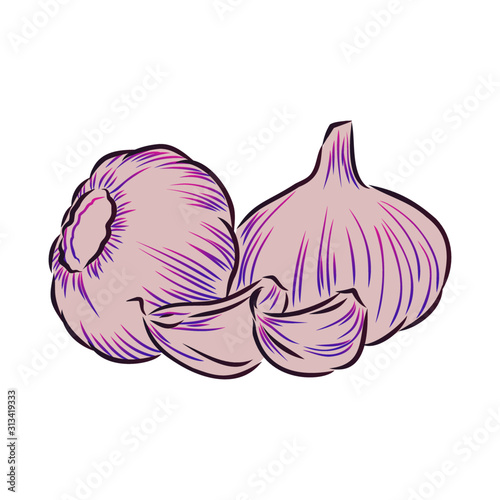  garlic, vegetarian