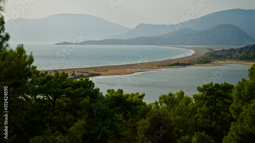 Fototapeta Naklejka Na Ścianę i Meble -  Among the pine trees, Iztuzu Beach view from Hill in Dalyan of Turkey