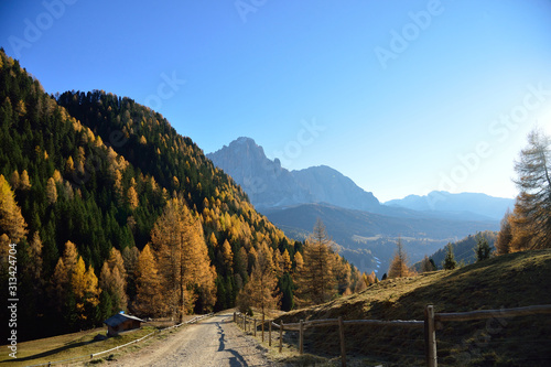 Herbstwald in den Bergen © tanjamkasten