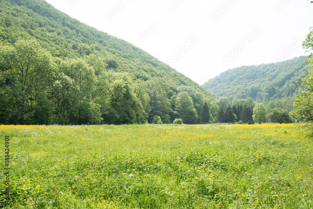 Wandern bei bestem Wetter in einem mit Blumenwiesen angereichertem Tal