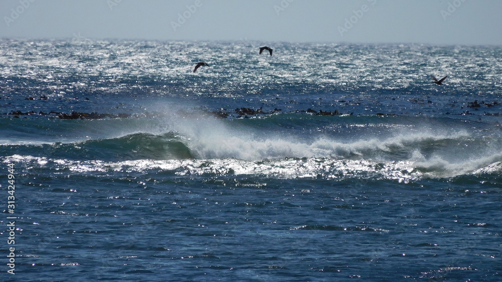 Strand in Südafrika auf der Kap Halbinsel in der Nähe von Kommetjie Strand in Südafrika auf der Kap Halbinsel in der Nähe von Kommetjie