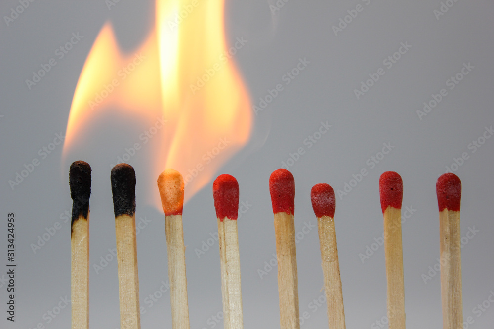 matches matches