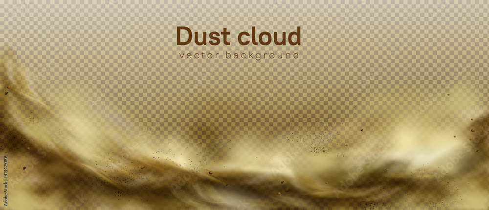 Desert sandstorm, brown dusty cloud or dry sand flying with gust of wind, big explosion realistic texture with small particles or grains vector frame, border isolated on transparent background
