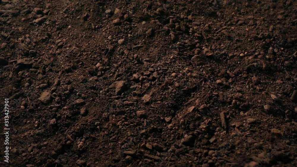 Moving Over Soil Generic Background
