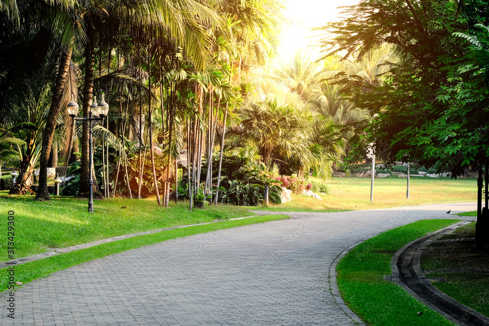 Obraz premium Green Park in City at Sunset. Sunrise beam in the beautiful. exercise and relax. Green grass and tree in garden at sunset nature background.