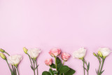 Beautiful Flowers Background Spring Background White and Pink Flowers on Pink Background Copy Space Horizontal Pink Roses and Eustoma