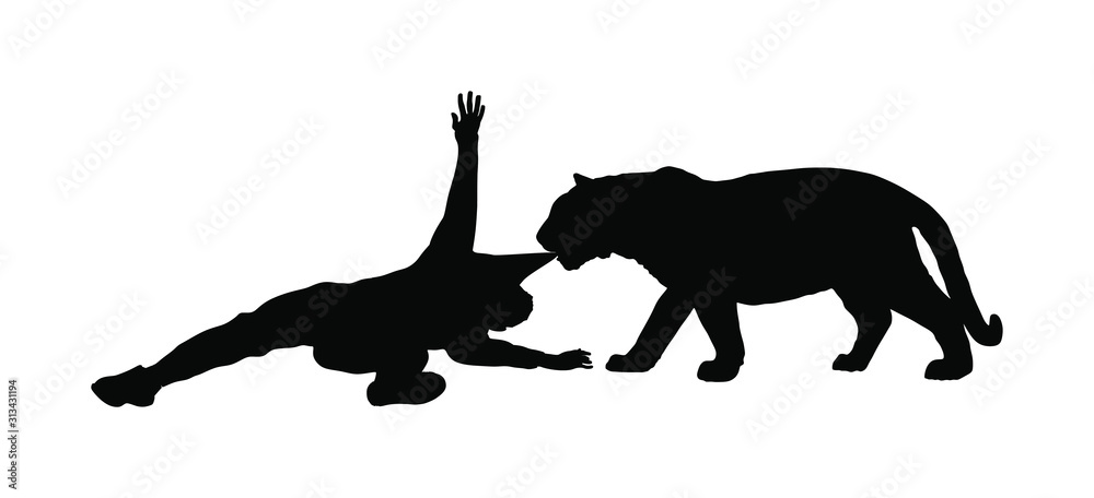 Tiger attacks man vector silhouette isolated on white background. Wild animal  attack person. Beast with prey