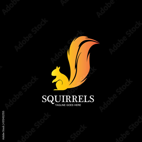 creative squirrel animal logo design icon symbol illustration-vector