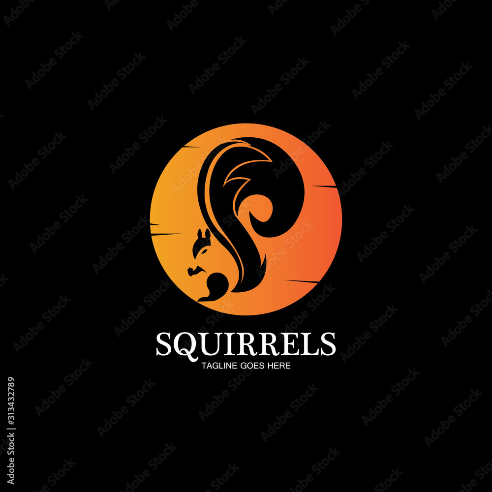 creative squirrel animal logo design icon symbol illustration-vector creative squirrel animal logo design icon symbol illustration-vector