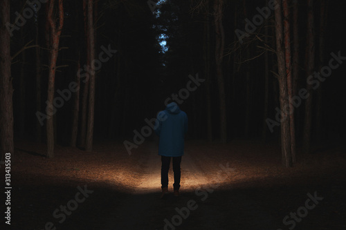 Man with bright flashlight in forest at night © New Africa