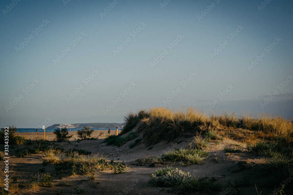 Dunes Dunes