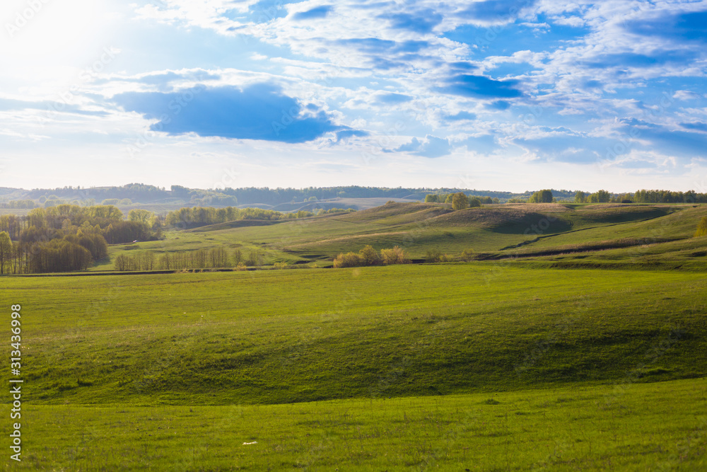 Green Field and Beautiful Sunset. field of spring grass and forest Green Field and Beautiful Sunset. field of spring grass and forest
