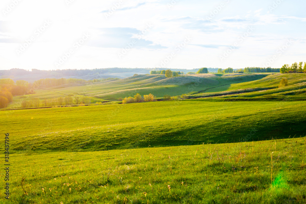 Green Field and Beautiful Sunset. field of spring grass and forest Green Field and Beautiful Sunset. field of spring grass and forest