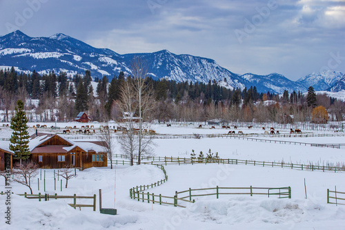 Winter at the horse ranch in the mountains of Eastern Washington state. 