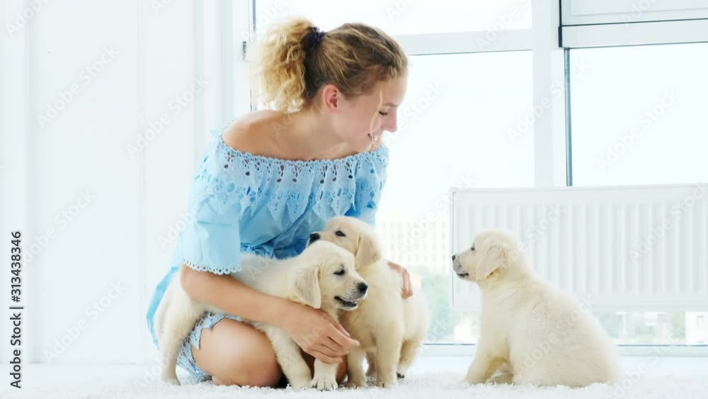 Adorable puppies around happy girl in light room Adorable puppies around happy girl in light room
