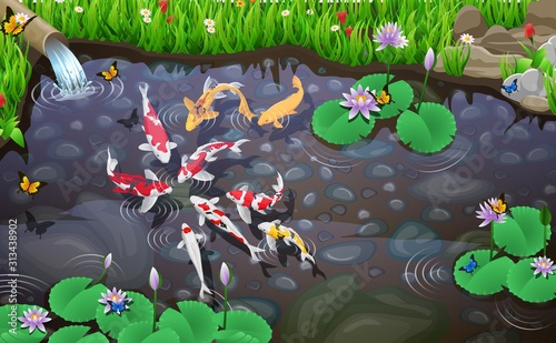 Carps koi fish underwater pond vector illustration