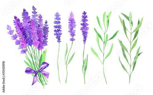 Watercolor illustration with lavender flowers.