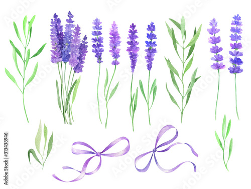 Watercolor illustration with lavender flowers.