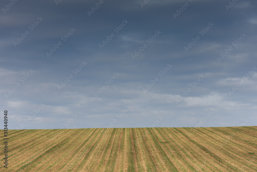 An empty field under blue sky