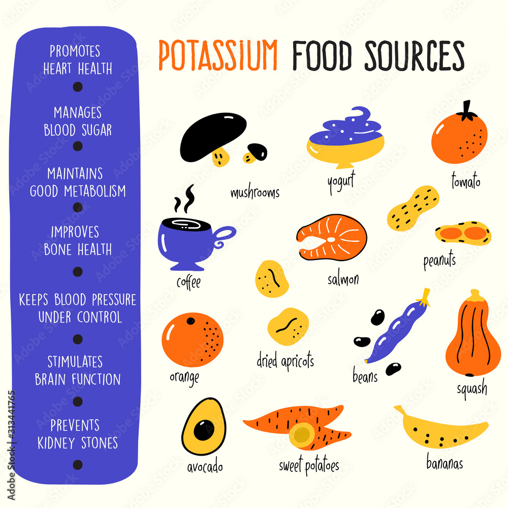 Vector cartoon illustration of potassium food sources and information ...