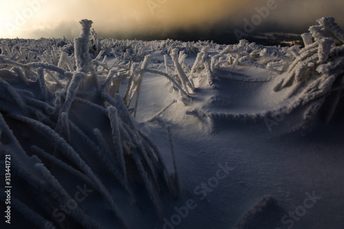 Fototapeta Naklejka Na Ścianę i Meble -  Bieszczady