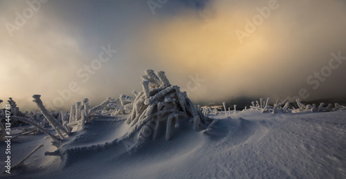 Fototapeta Naklejka Na Ścianę i Meble -  Bieszczady