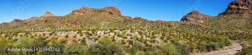 Panorama of Mountains in Organ Pipe Cactus National Monument