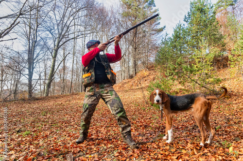 Hunter and hunting dog chasing in the forest