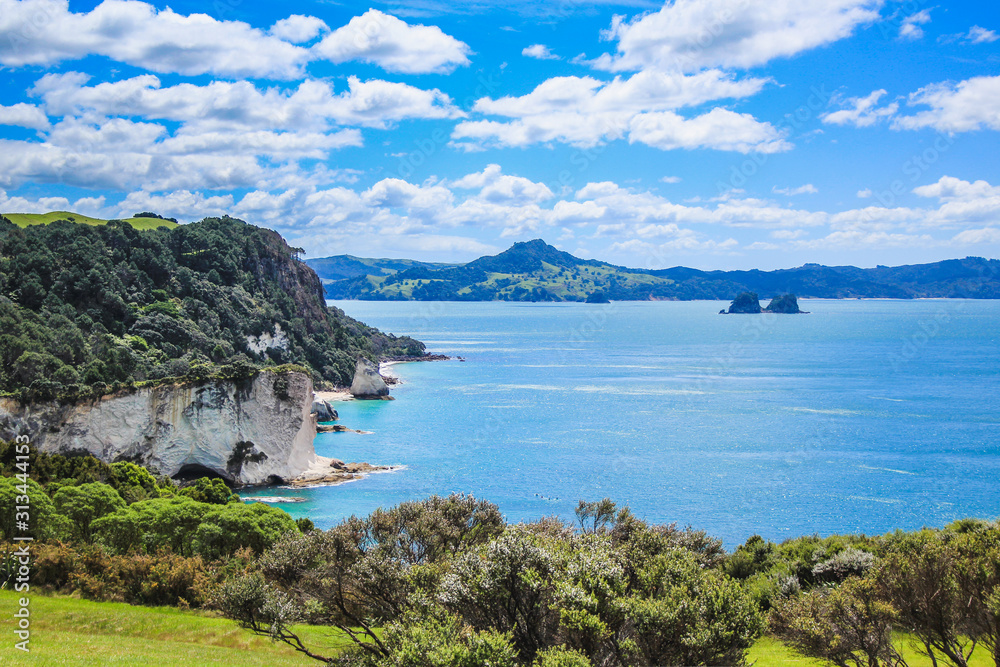 beautiful scenery on the way to Cathedral Cove on Coromandel Peninsula, North Island, New Zealand