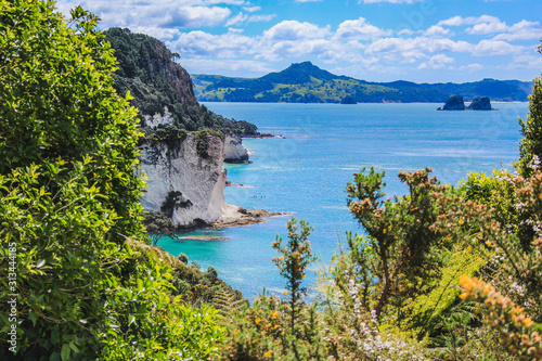 beautiful scenery on the way to Cathedral Cove on Coromandel Peninsula, North Island, New Zealand photo