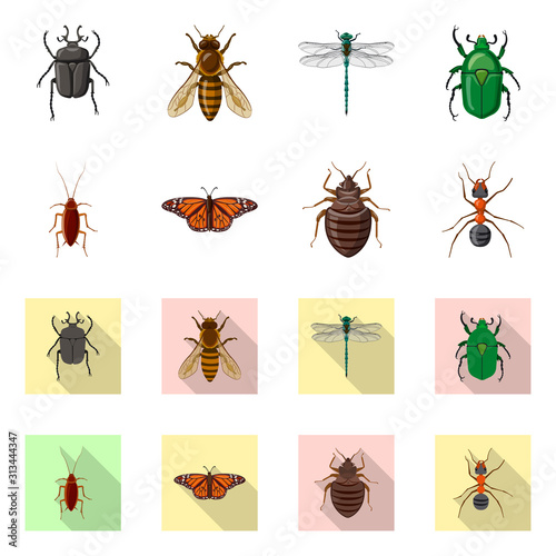Vector illustration of insect and fly icon. Set of insect and element vector icon for stock. © Svitlana