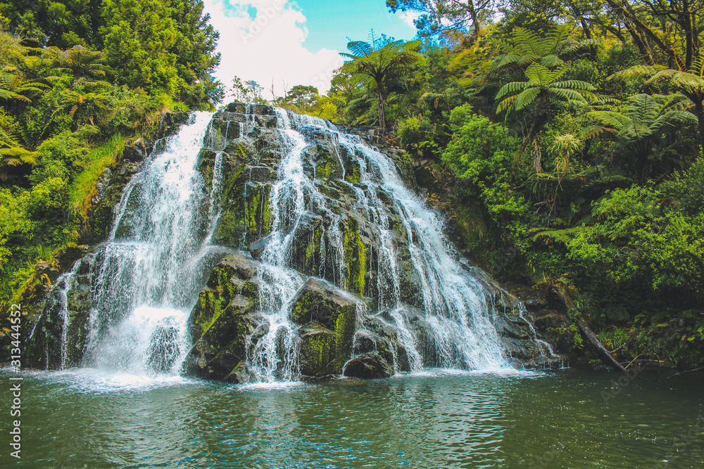 Fototapeta premium Owharoa Falls na Wyspie Północnej Nowej Zelandii