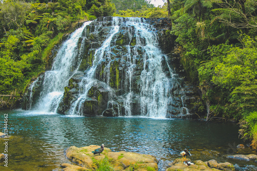 Owharoa Falls on the North Island of New Zealand photo