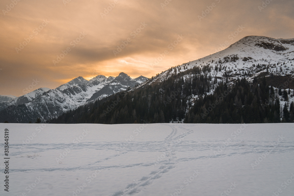 Obraz premium Lake with mountain forest landscape-Monte Avaro-Alpi Orobie