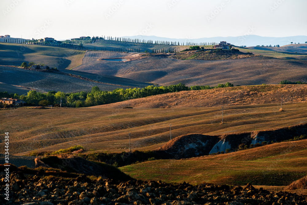 Naklejka premium Fields cultivated in late summer on the Sienese hills