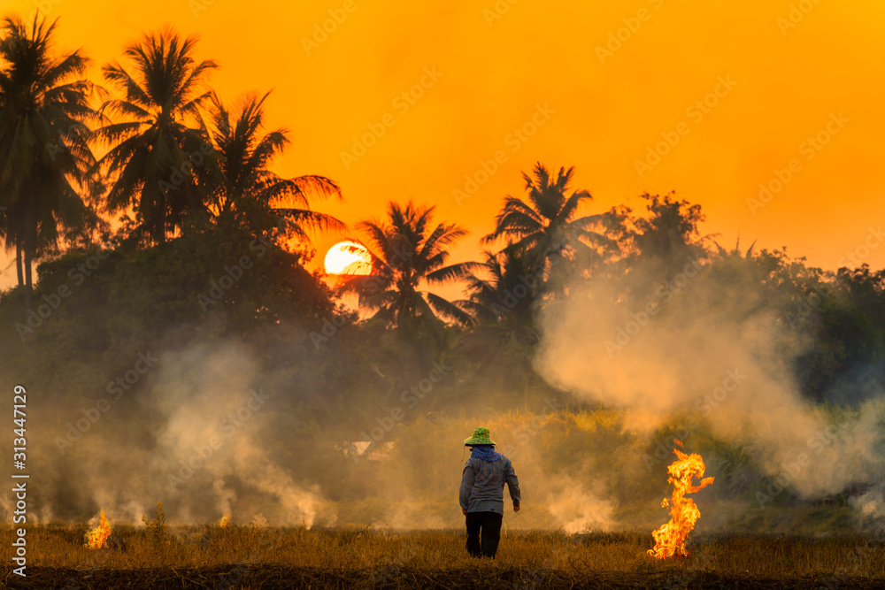 Farmers burn rice fields in rice causing PM2.5 dust. The farmers